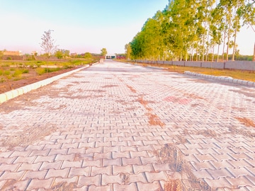 Plot For Resale in Lalru Mohali  7062113