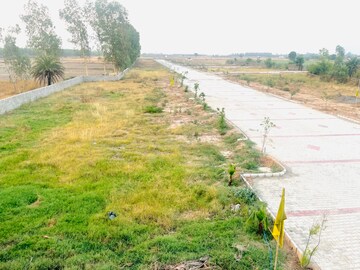  Plot For Sale in Lalru