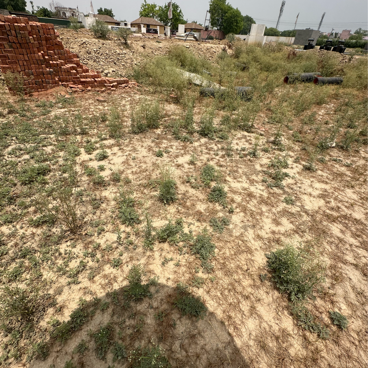 Plot For Resale in Homfix Brookside Valley Sikrod Ghaziabad  7066712