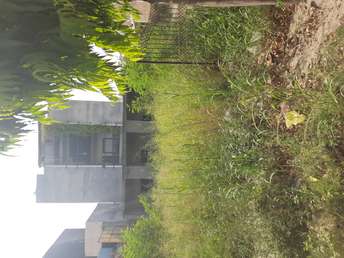  Plot For Resale in Chotpur Colony Noida 7068003