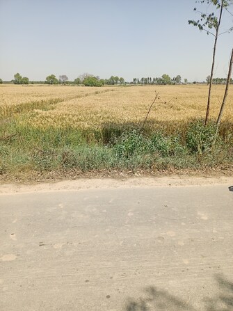 Commercial Land 29110 Sq.Ft. For Resale in Jalbera Road Ambala  7068424