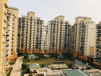 3 BHK Apartment For Rent in Suncity Enclave Neharpar Faridabad 7068490