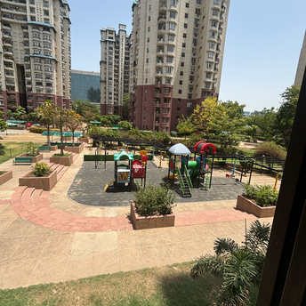 3 BHK Apartment For Rent in Unitech Palms South City 1 Gurgaon 7068707