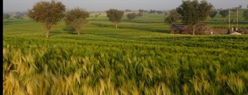  Land For Sale in Sultanpur