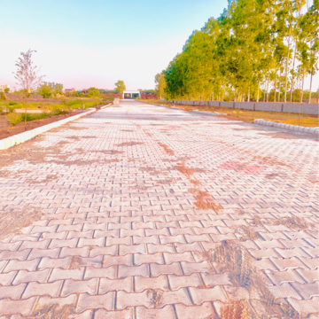  Plot For Sale in Lalru