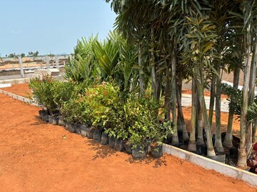  Plot – Exterior View View at Kankipadu - for Sale