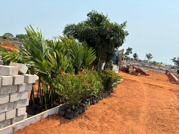  Plot – Exterior View View at Kankipadu - for Sale