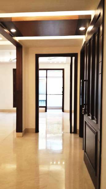 4 BHK Builder Floor For Rent in RWA Green Park Green Park Delhi 7076812