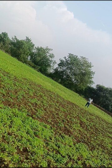  Plot For Sale in Narayankhed