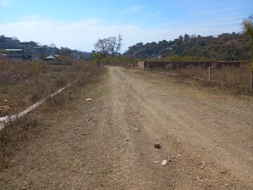 Plot Area in  Land at Sultanpur – for Sale