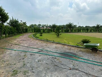 Plot Area in  Land at Sultanpur – for Sale