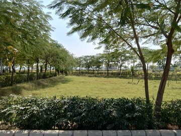 Plot Area in  Plot at Sector 7 – for Sale