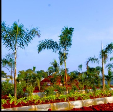 Plot For Sale in Kankipadu