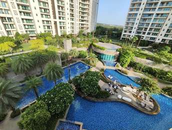 4 BHK Apartment For Rent in DLF The Crest Sector 54 Gurgaon  7077720