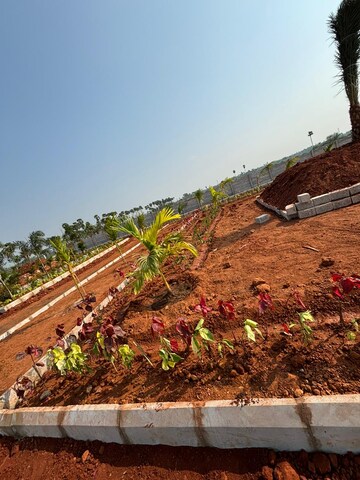 Plot Area in  Plot at Kankipadu – for Sale