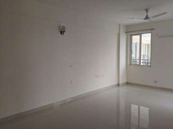 3 BHK Apartment For Rent in Godrej 101 Sector 79 Gurgaon  7077752