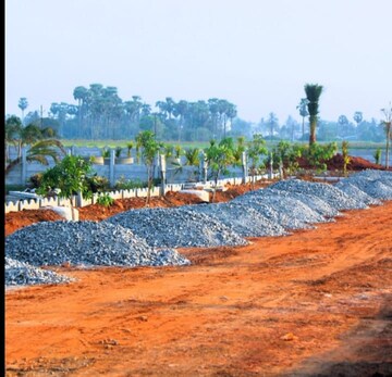  Plot – Exterior View View at Kankipadu - for Sale