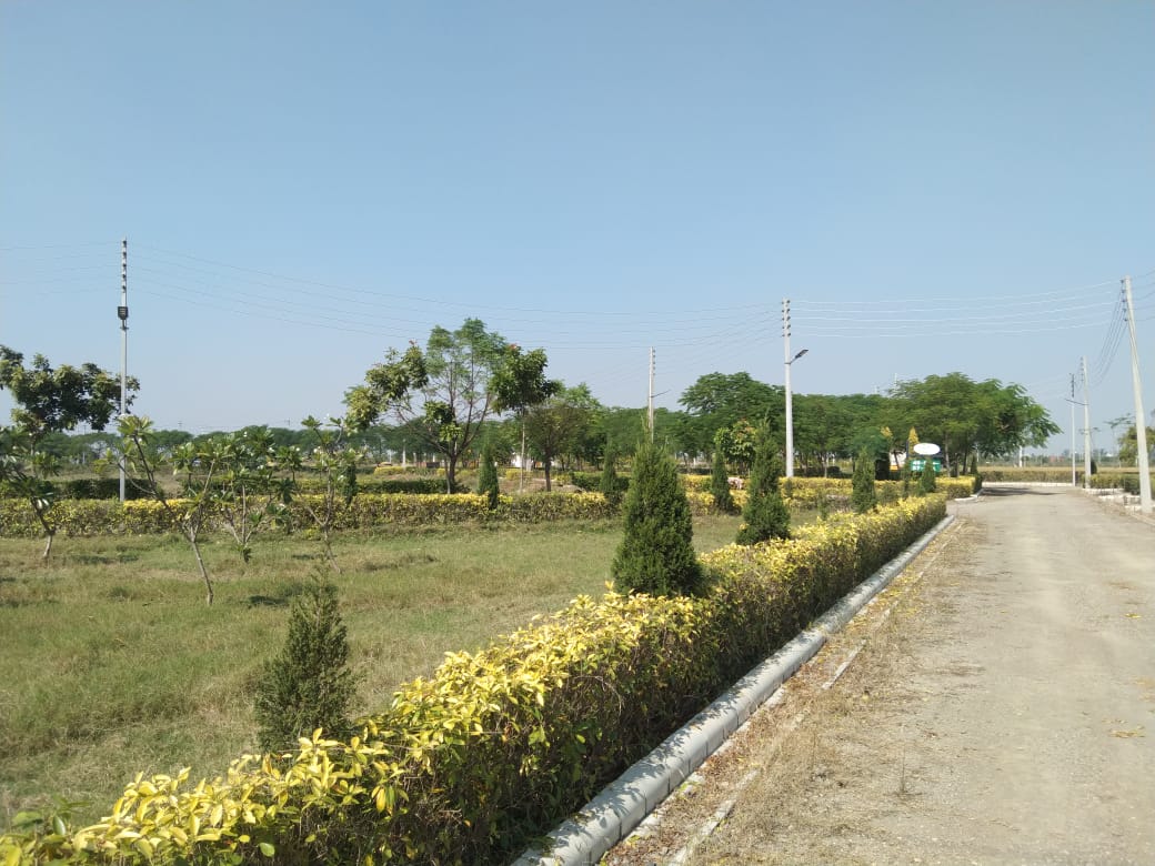 Plot For Resale in Greater Mohali Mohali  7078090