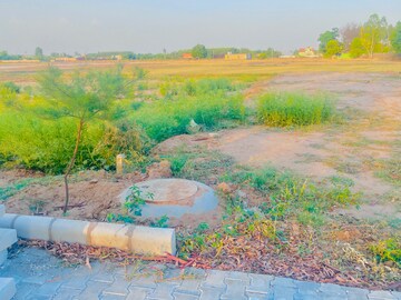  Plot For Sale in Lalru