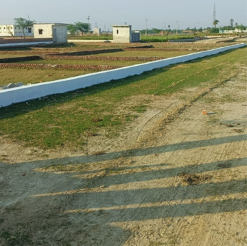 Plot Area in  Plot at Sector 64 – for Sale