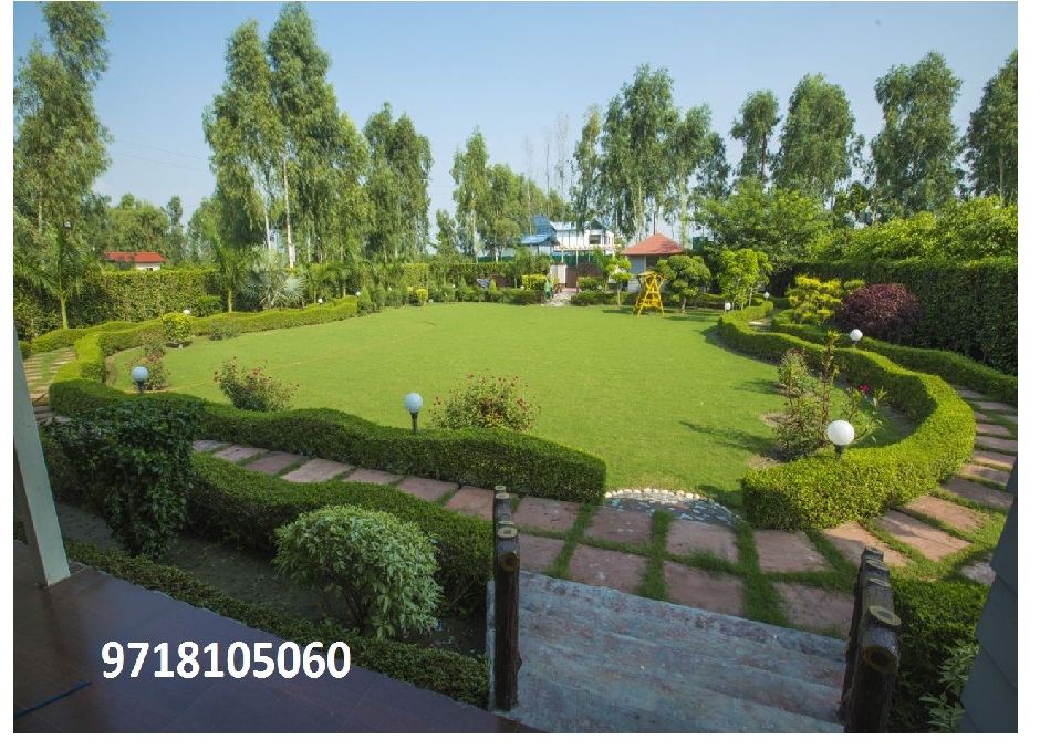 Plot For Resale in Sector 140 Noida  7078636