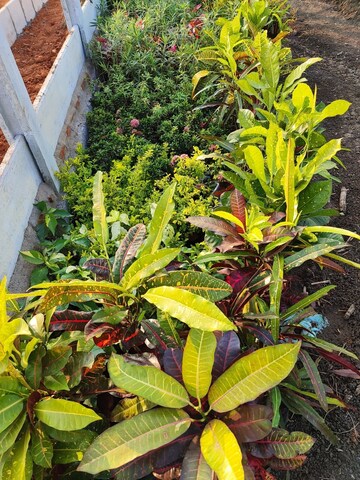  Plot – Garden View at Kankipadu - for Sale