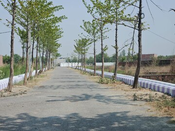 Plot Area in  Plot at Faizabad Road – for Sale
