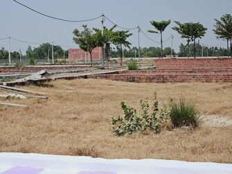 Plot For Resale in Faizabad Road Lucknow  7079131