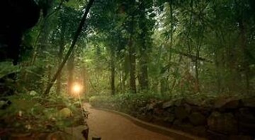 4 BHK Apartment – Garden View at Panchshil YooPune, Hadapsar - for Sale