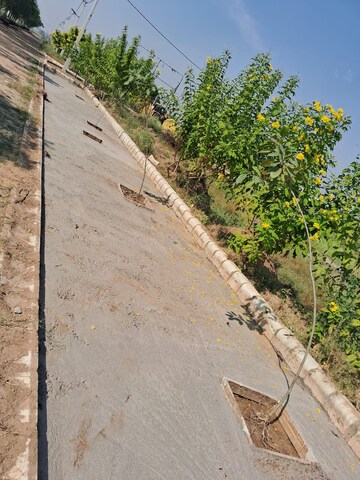 Plot Area in  Plot at Sector 36 – for Sale