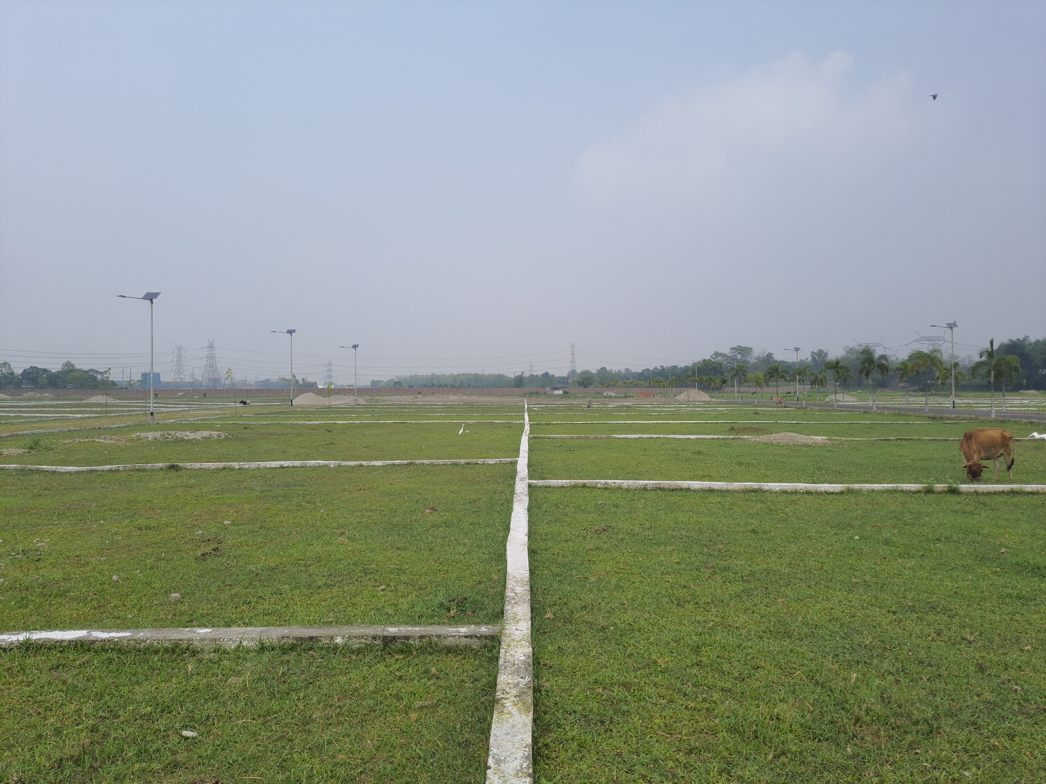 Plot For Sale in Jewar Residency