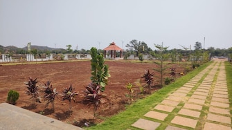 Plot For Resale in Budhera Hyderabad  7080881