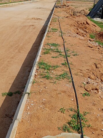 Plot Area in  Plot at Vasudaika Henley Woods, Nagreddipalli – for Sale