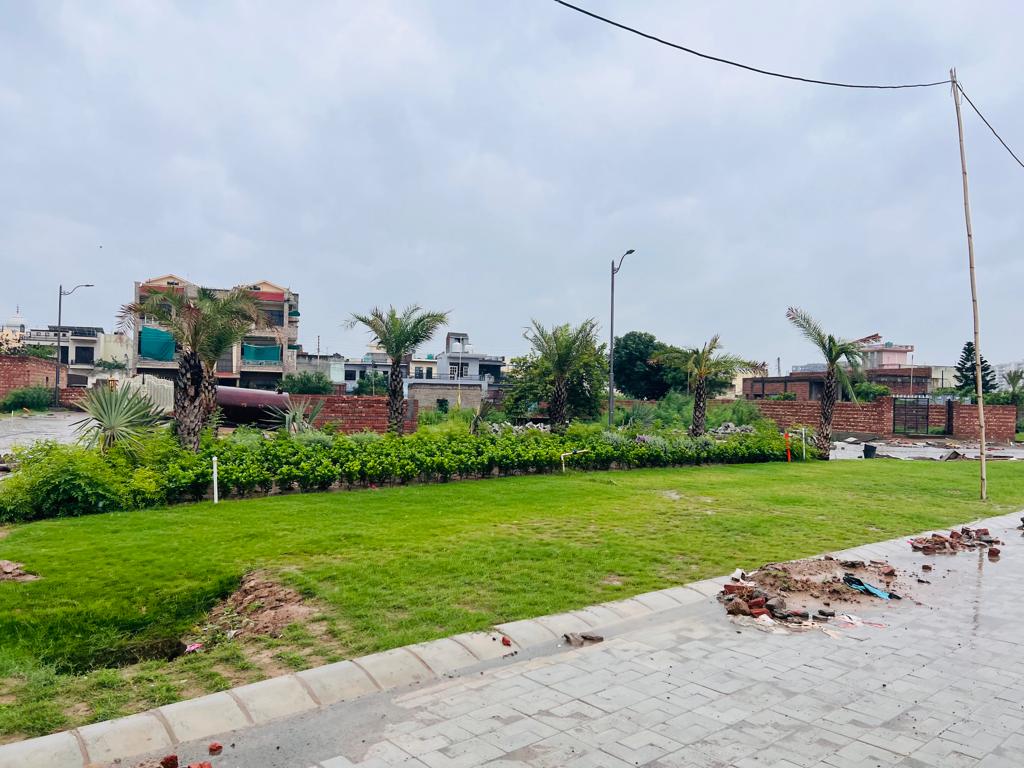 Plot For Resale in Sector 10 Noida  7085129