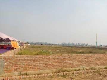 Plot Area in  Plot at Tappal – for Sale