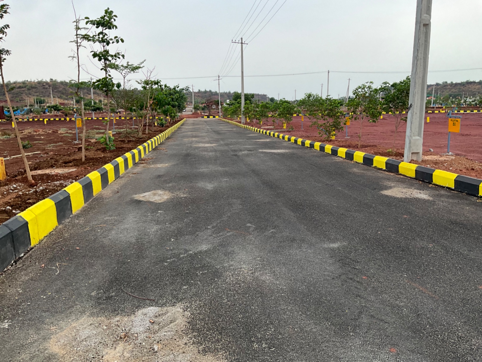 Plot For Resale in Budhera Hyderabad  7085476