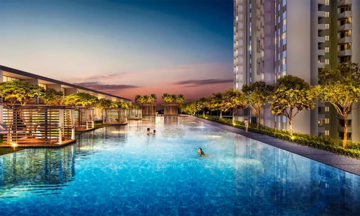 Swimming Pool in 4 BHK Apartment at Godrej Tropical Isle, Sector 146 – for Sale