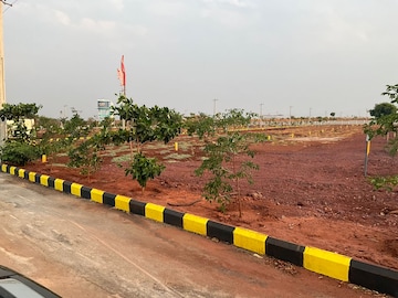 Plot For Resale in Sadashivpet Hyderabad  7086062