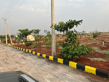 Plot For Resale in Sadashivpet Hyderabad  7086127