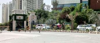 3 BHK Apartment For Rent in Central Park II-Bellevue Sector 48 Gurgaon  7077757