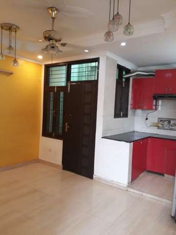 1 BHK Builder Floor For Rent in Saket Delhi  7086413