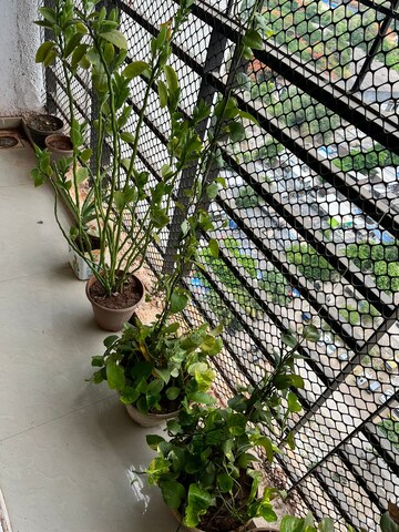 2.5 BHK Apartment – Garden View at Vanita Chs Vartak Nagar, Vartak Nagar - for Sale