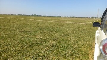 Plot For Resale in Deva Road Lucknow  7086933