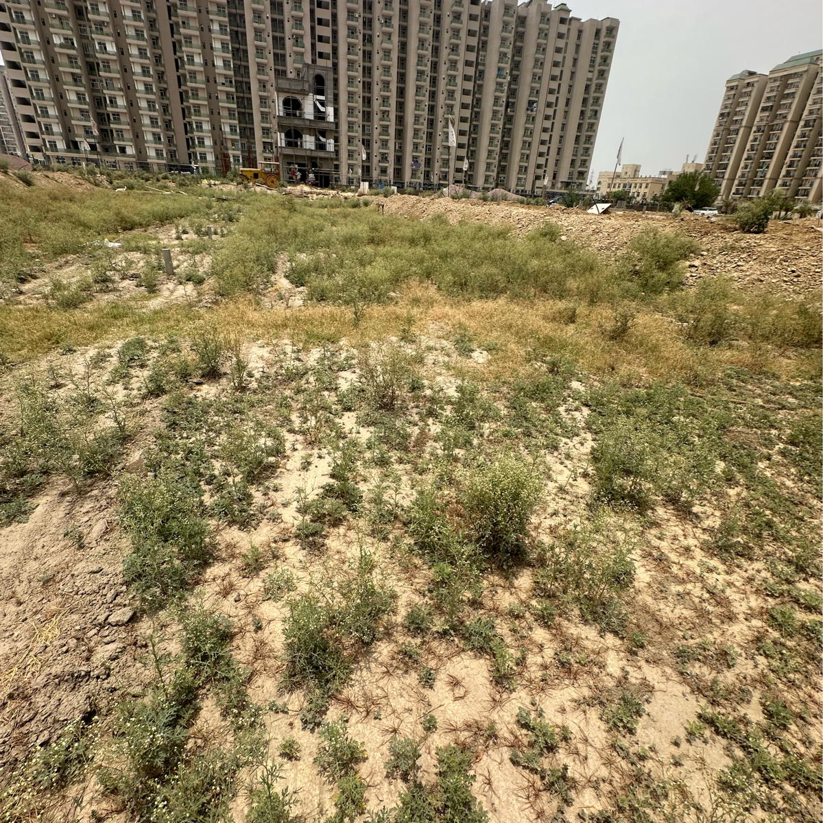 Plot For Resale in Homfix Brookside Valley Sikrod Ghaziabad  7086993