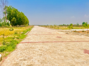 Plot For Resale in Lalru Mohali  7087071