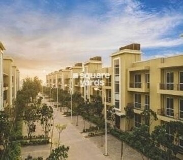 3 BHK Builder Floor For Sale in BPTP Parkland Pride, Sector 77