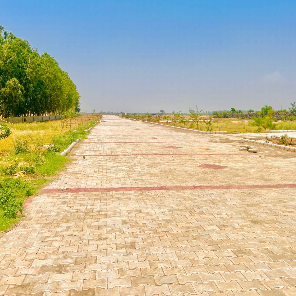 Plot For Resale in Lalru Mohali  7088467