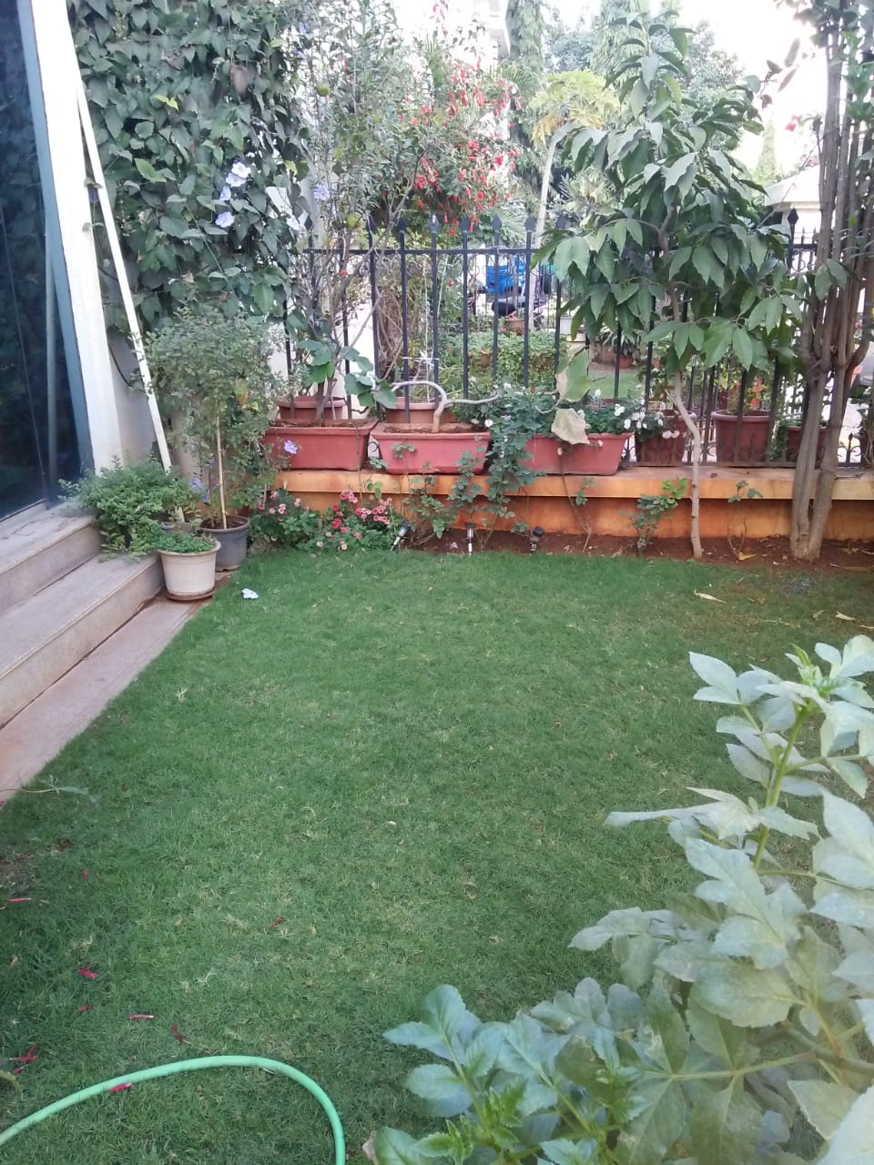 Rental 3 Bedroom 2550 Sq.Ft. Villa in Dorabjee Paradise Building A&B