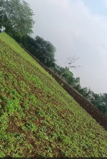  Plot For Sale in Navi Mumbai Plots, Uran