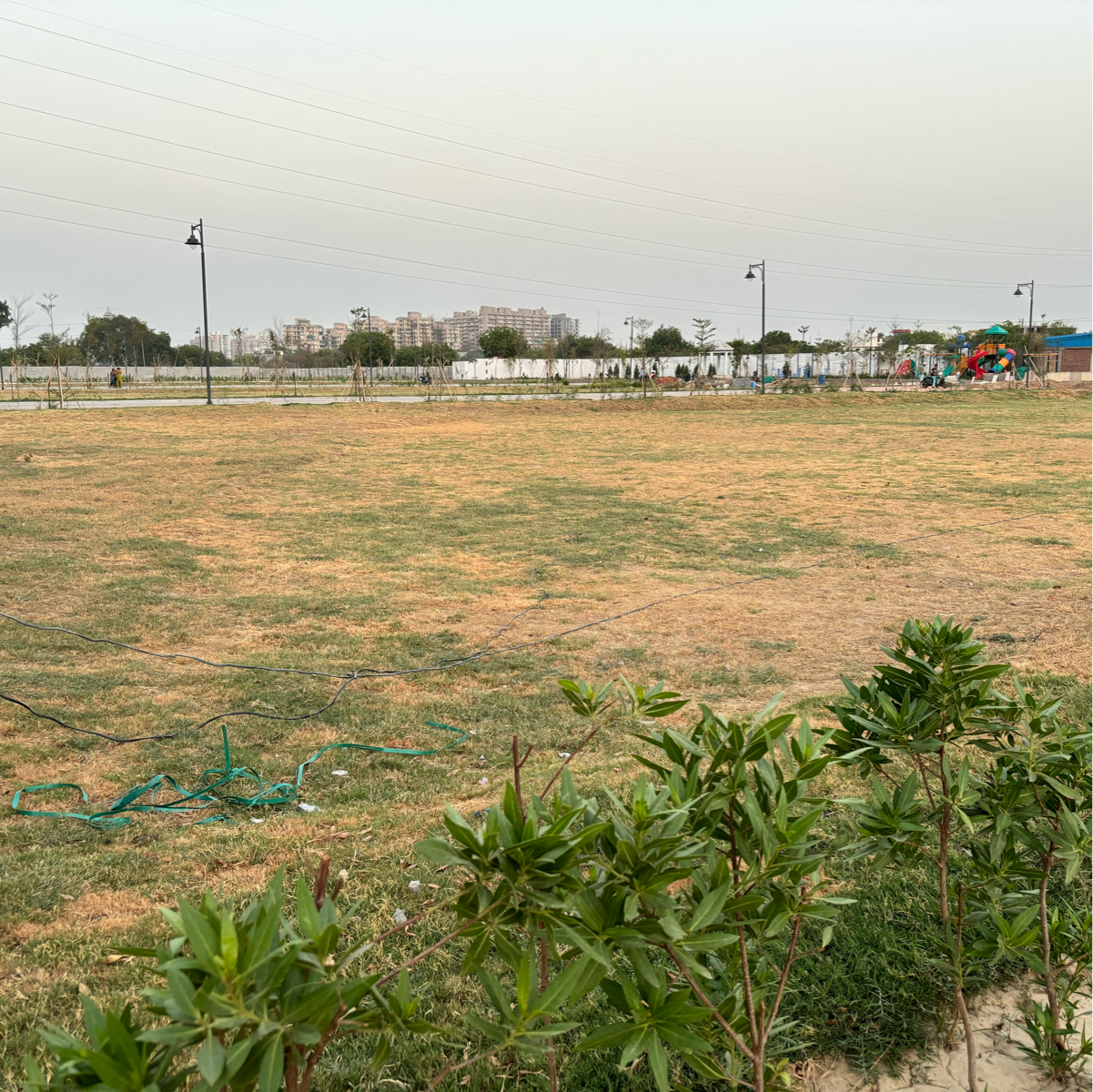 Plot For Resale in Sector 86 Faridabad  7094982